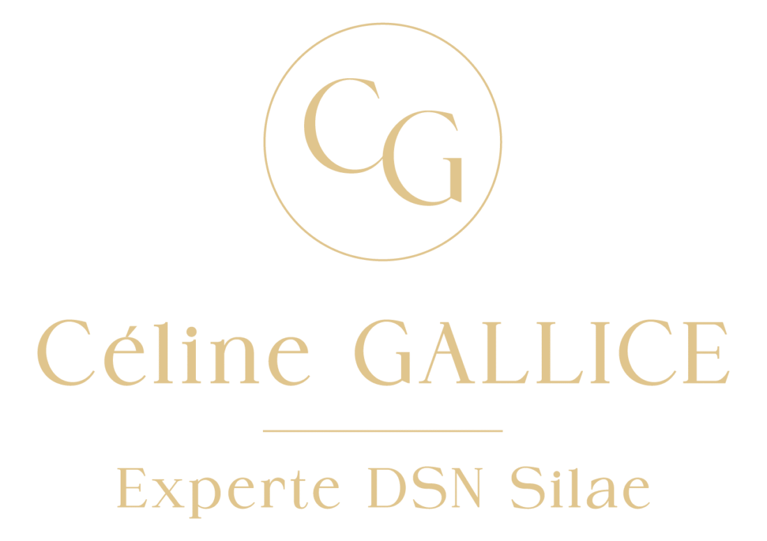 Logo Céline GALLICE - Experte DSN Silae